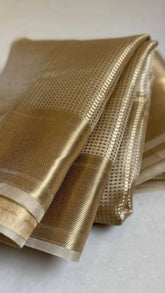 Gold and Silver Tissue Silk Saree