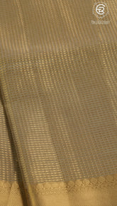 Gold and Silver Tissue Silk Saree