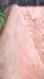 Peach and pink Chanderi Silk Pearl Zardosi White Stone Golden Outline Pattern Designer Salwar